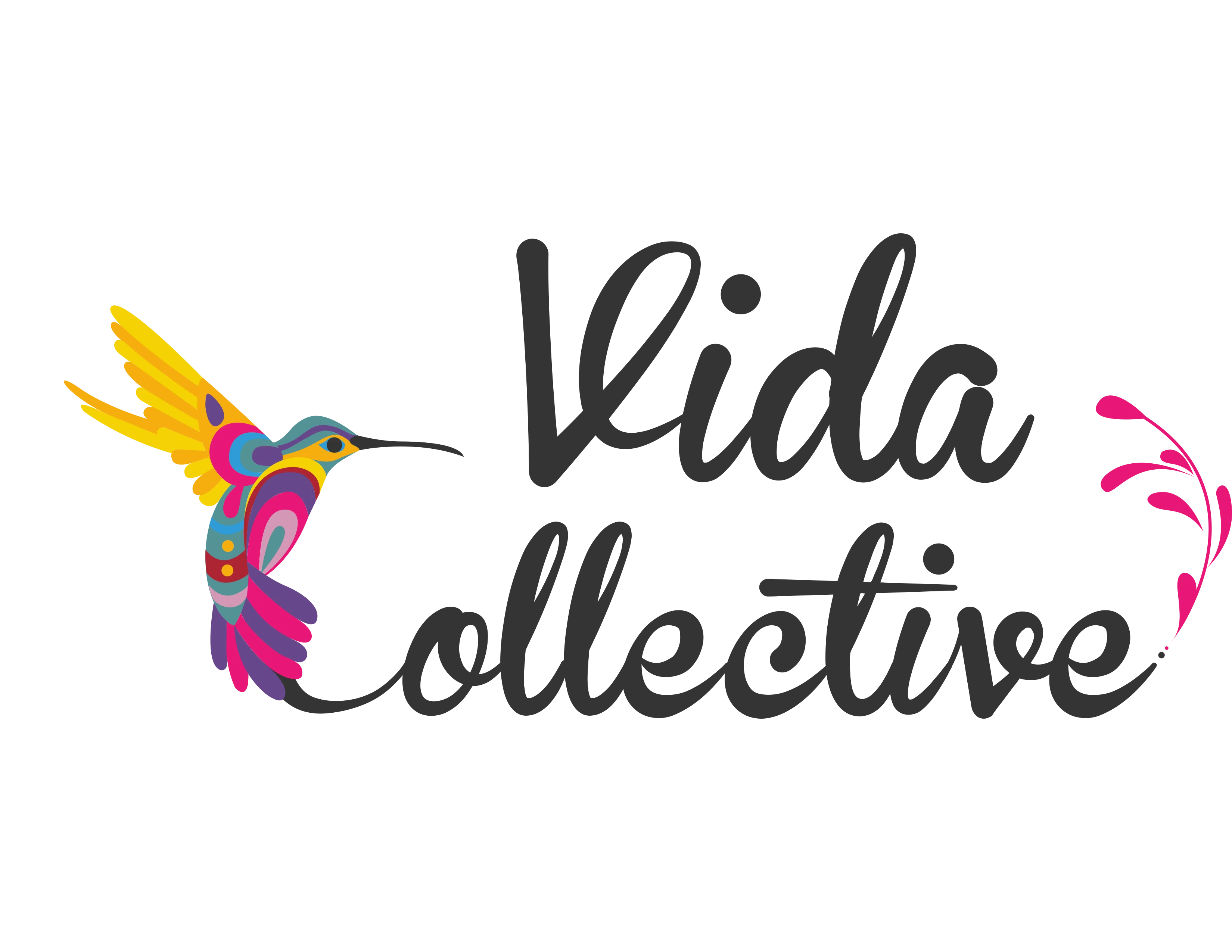 Vida Collective