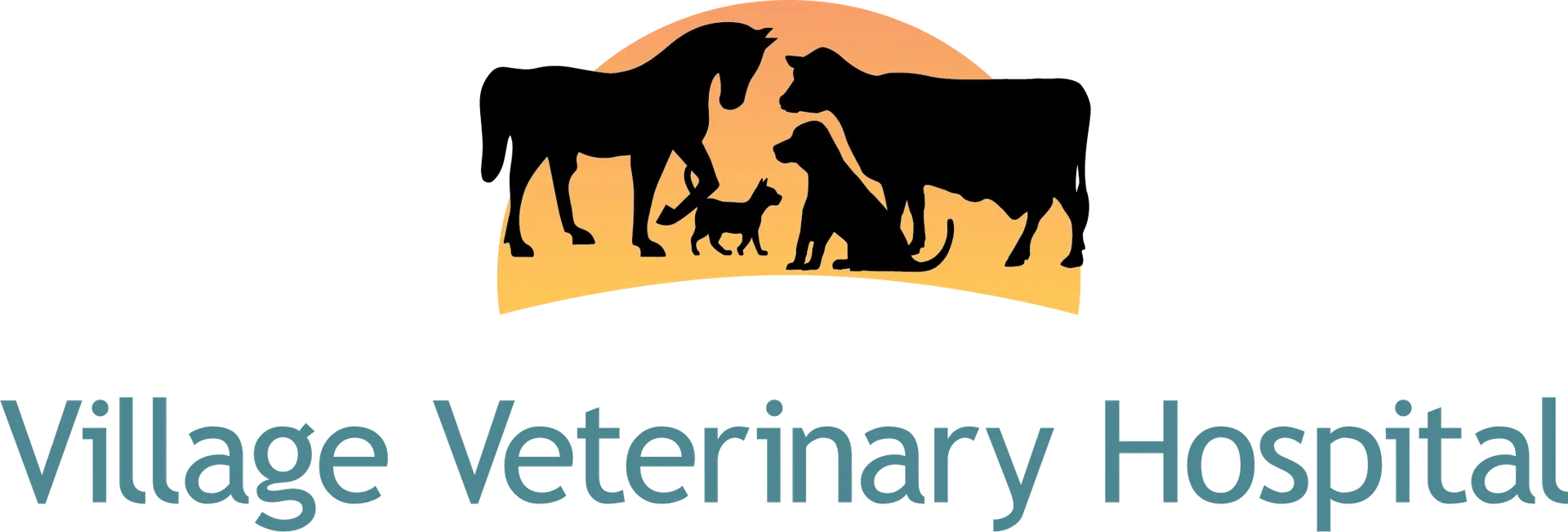 Village Vet Hospital