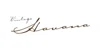 Vintage Havana Coupons Vintage Havana Coupons and Promo Code