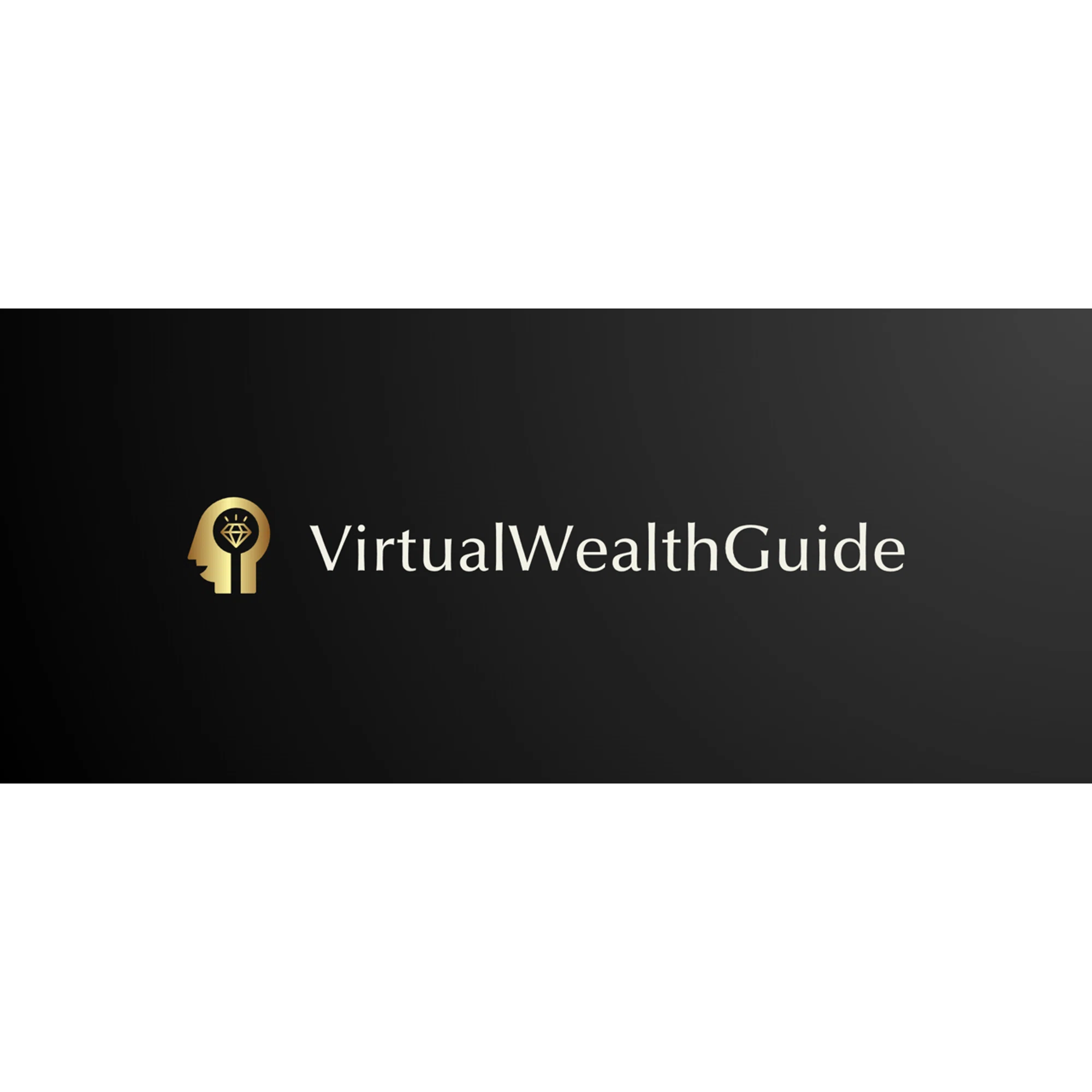 Virtual Wealth Guide