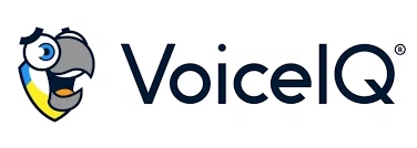 VoiceIQ