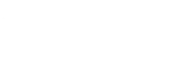 VOWWS