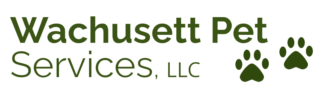 Wachusett Pet Services