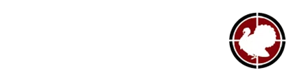 Wagner Shells