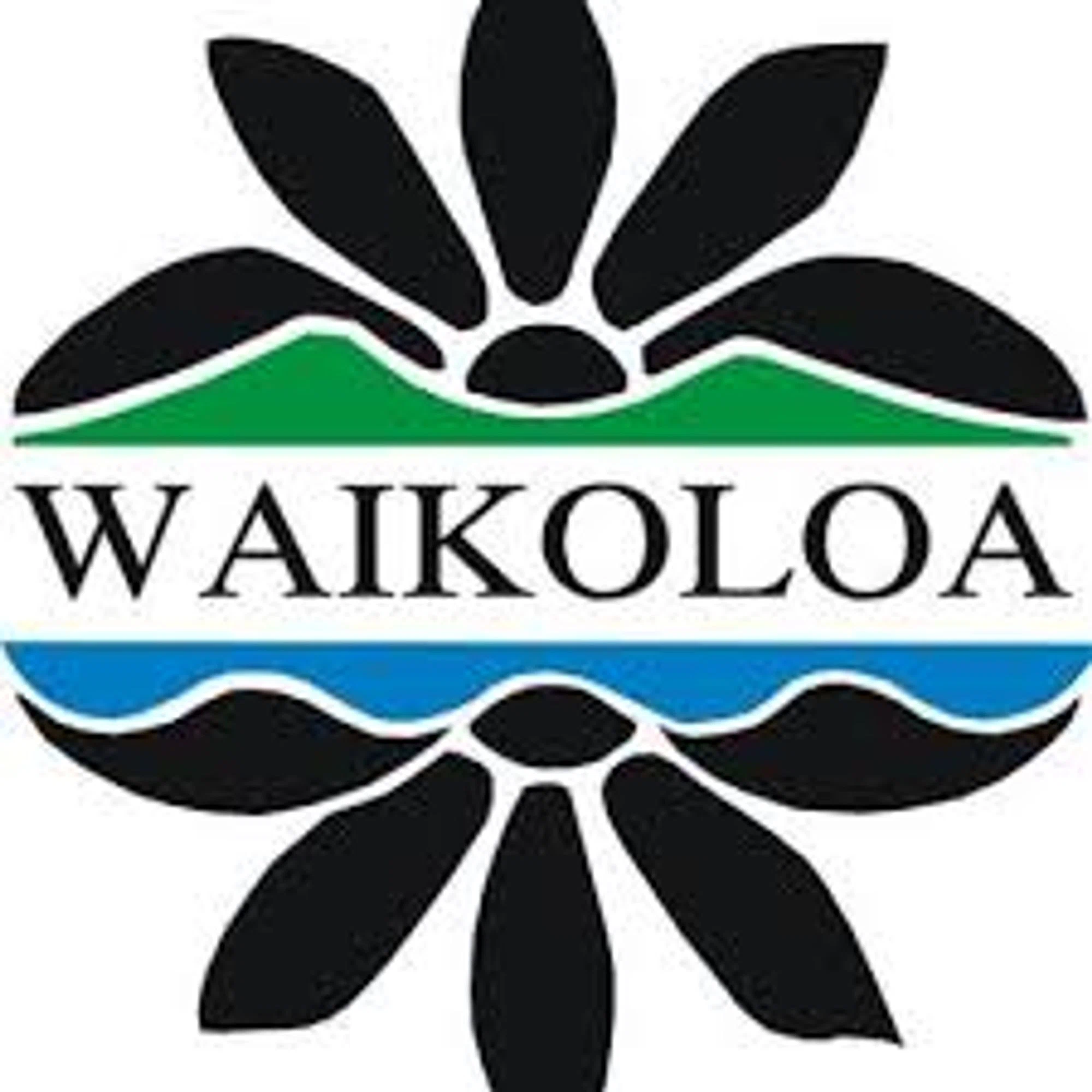 Waikoloa Beach Resort Golf