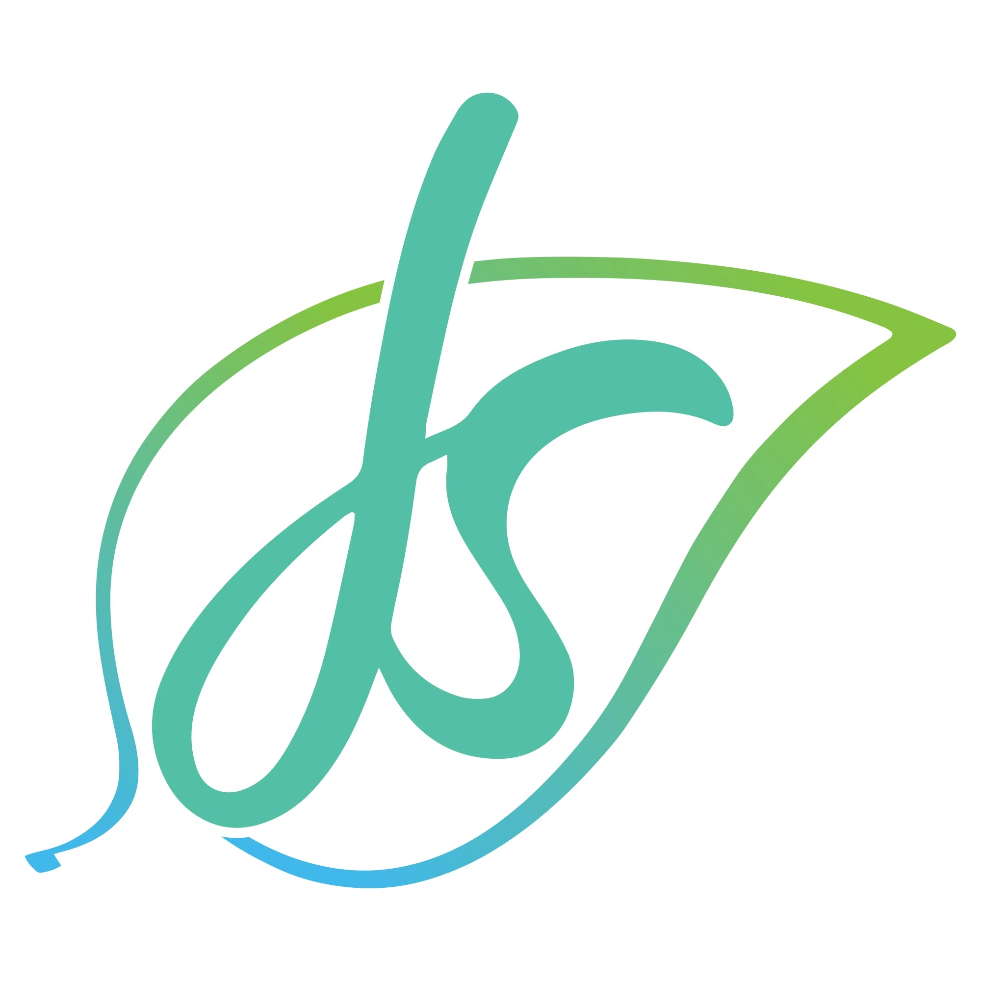 Waist Trainer Cleaner