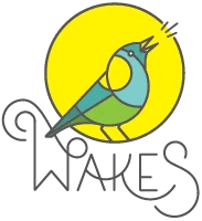 Wakes