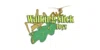 Walking Stick Toys