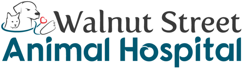 Walnut Street Animal Hospital