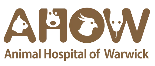 Animal Hospital of Warwick