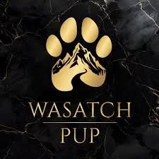 Wasatch Pup