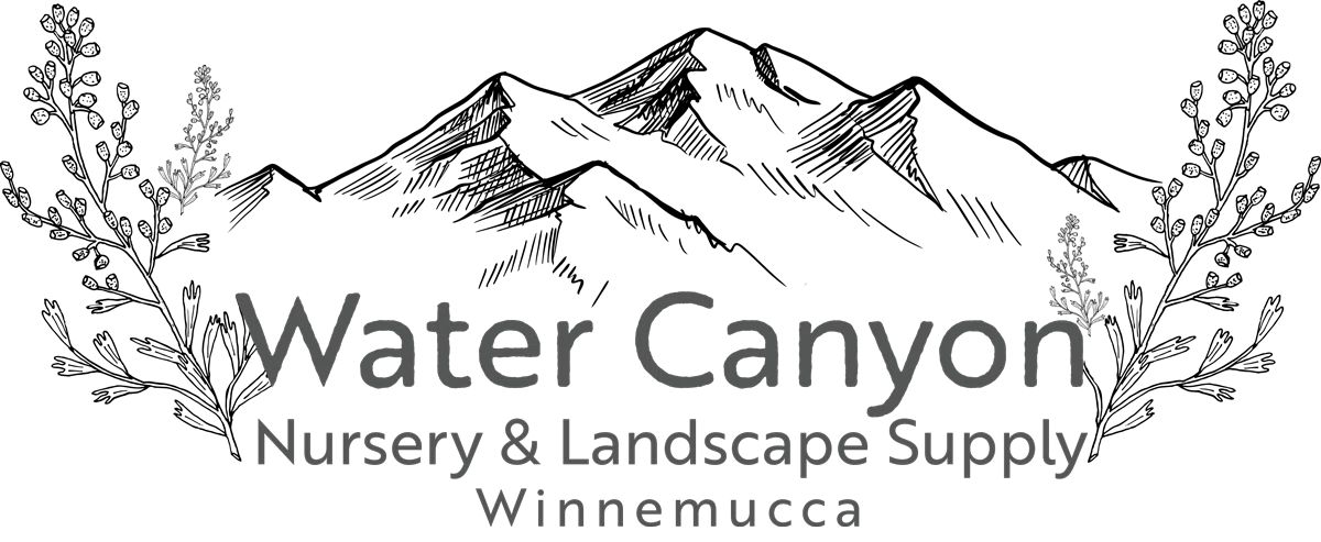 Water Canyon Nursery & Landscaping