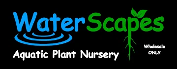 WaterScapes Aquatic Plant Nursery