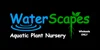 WaterScapes Aquatic Plant Nursery