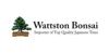 Wattston Bonsai
