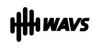 WAVS Custom