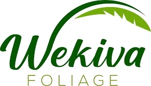 Wekiva Foliage