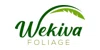 Wekiva Foliage