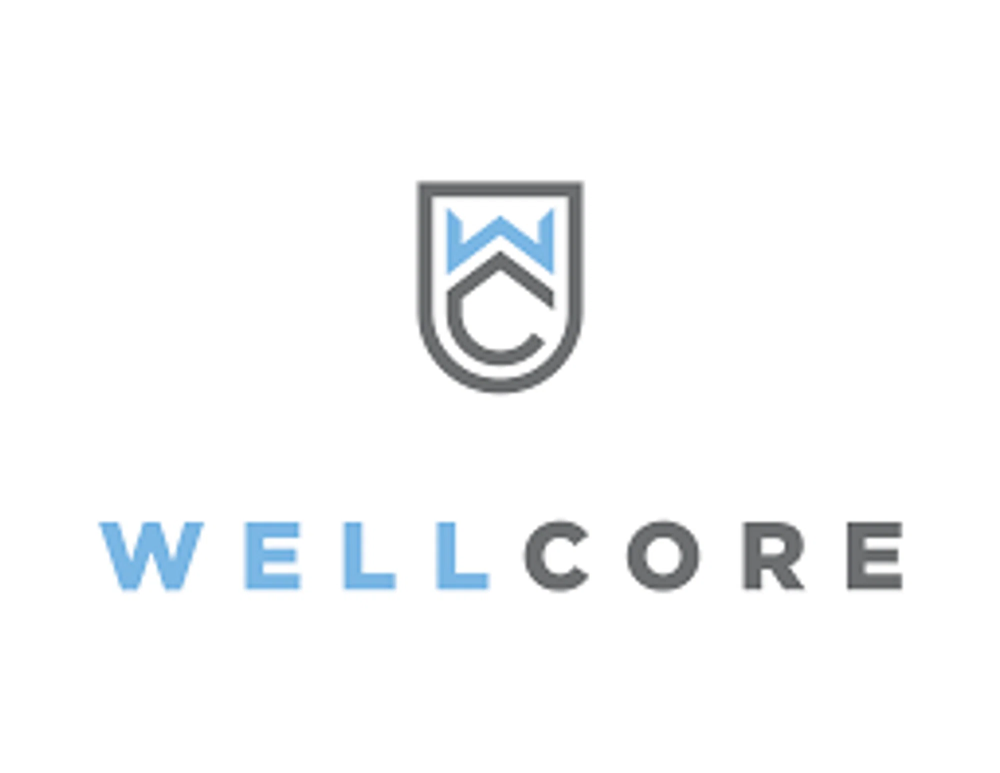 Wellcore Optimization