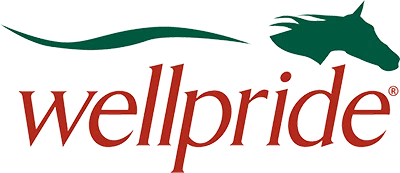 Wellpride