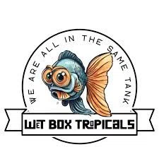 Wet Box Tropicals