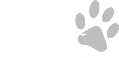 Wet Dog