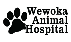 Wewoka Animal Hospital