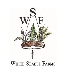 White Stable Farms