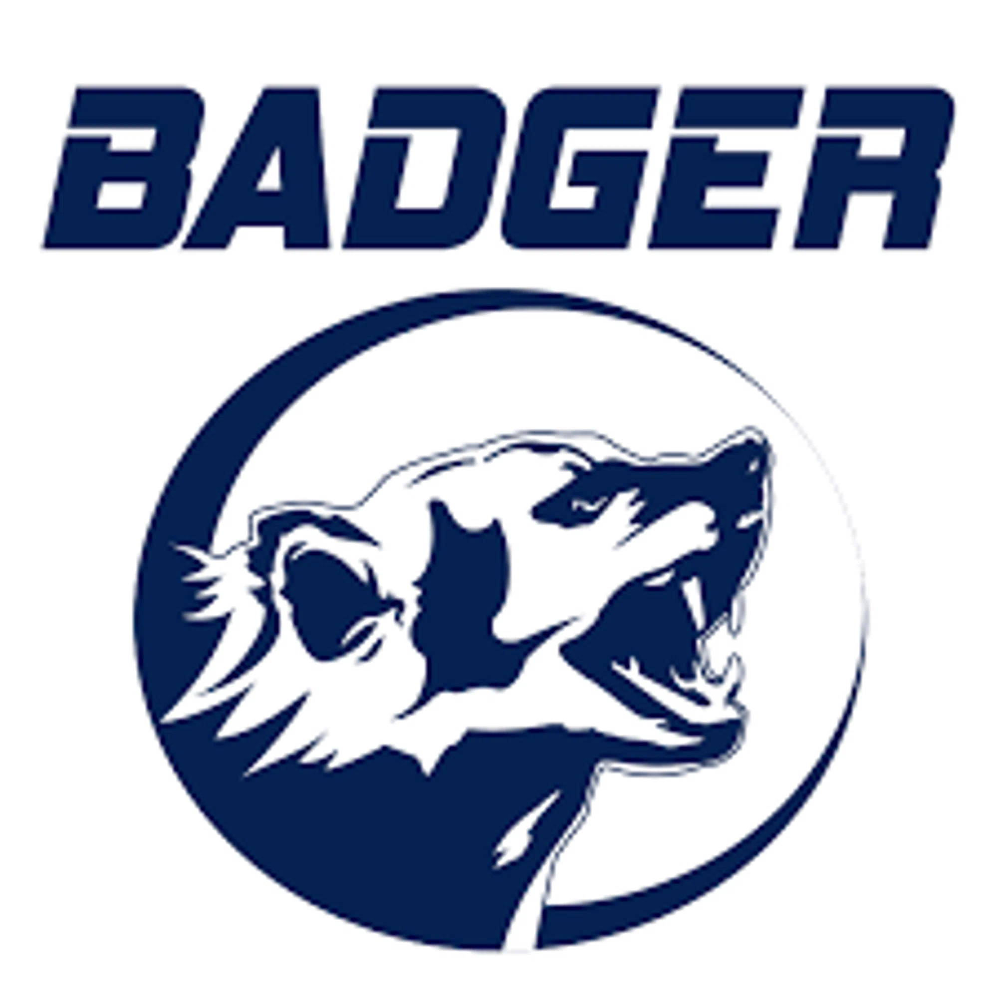 Wild Badger Power