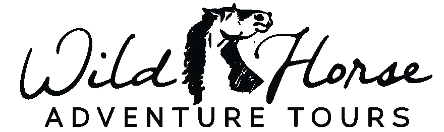 Wild Horse Adventure Tours