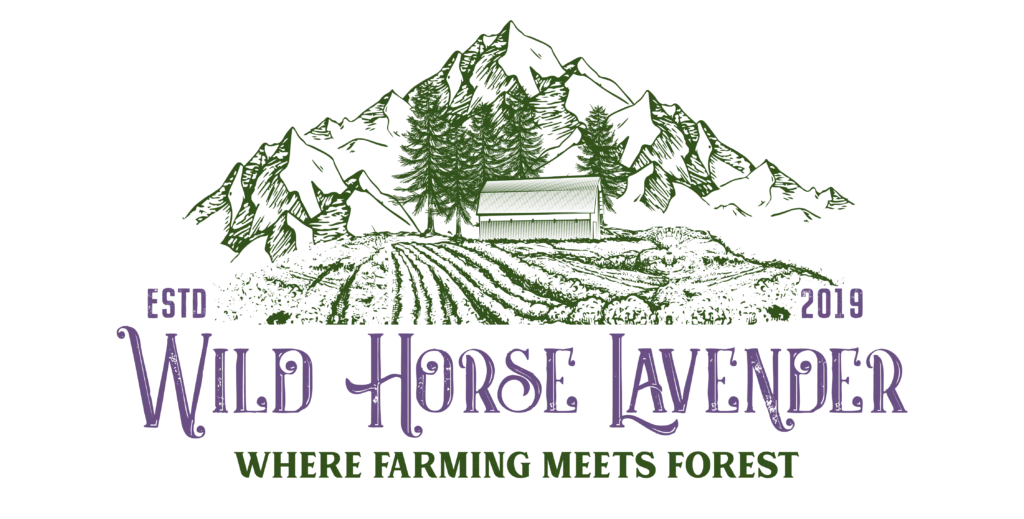 Wild Horse Lavender