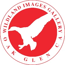 Wildland Images