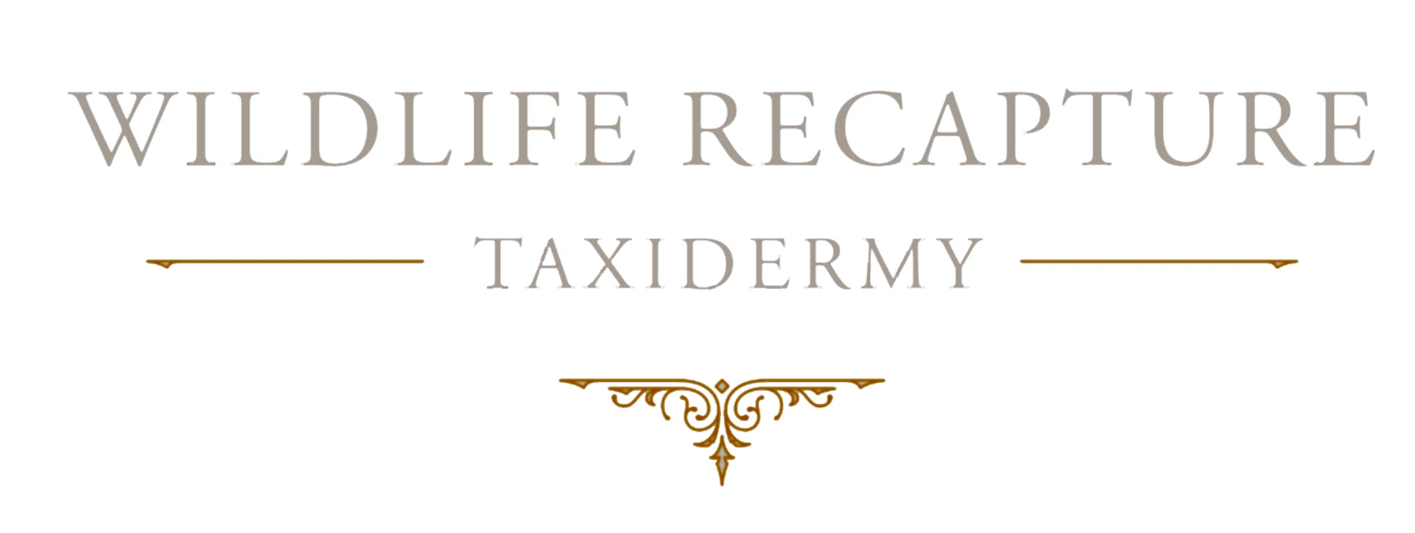 Wildlife Recapture Taxidermy