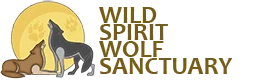Wild Spirit Wolf Sanctuary