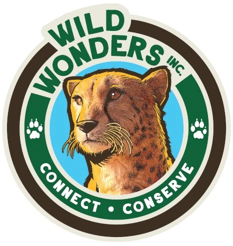 Wild Wonders