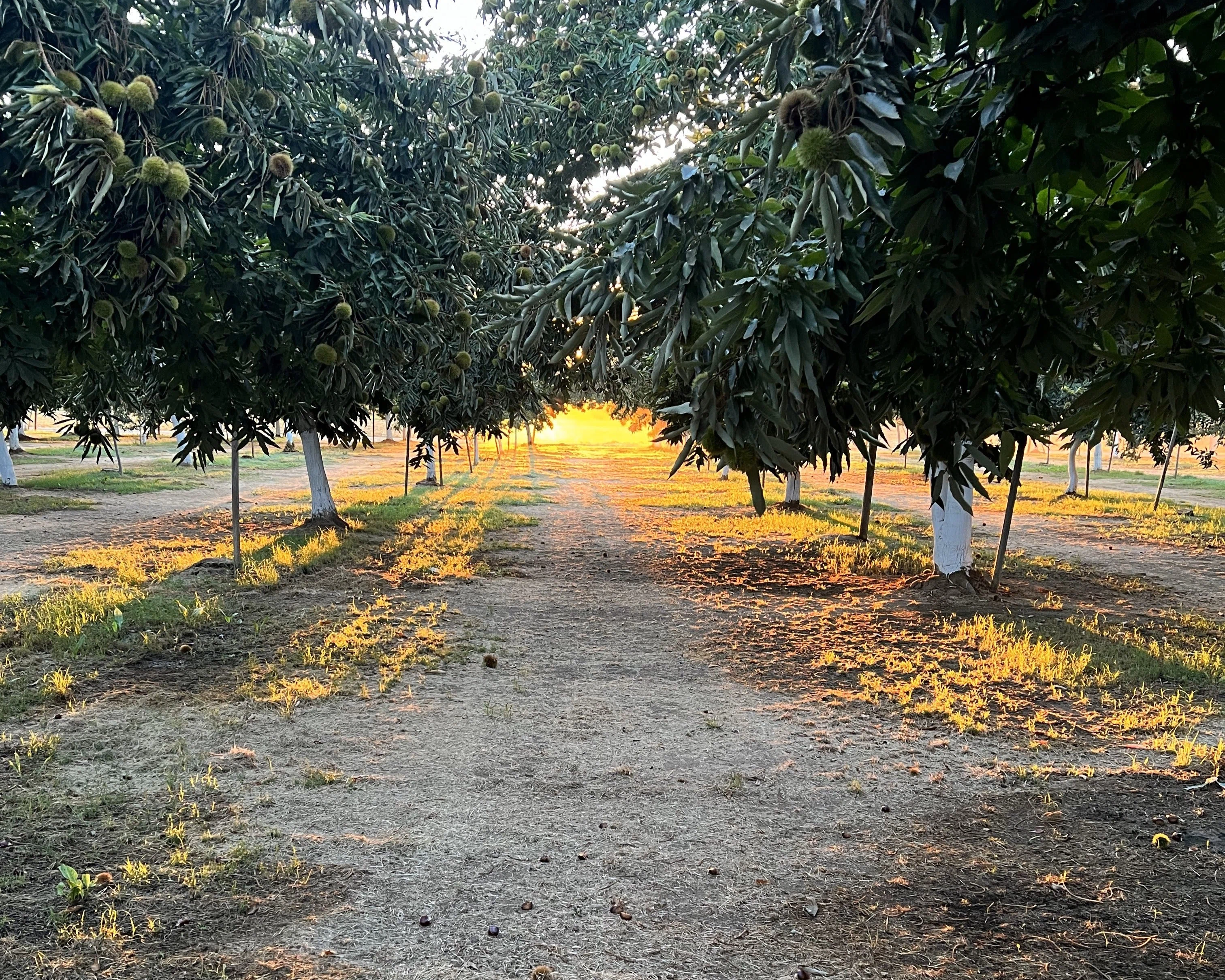 Wilson Family Farm
