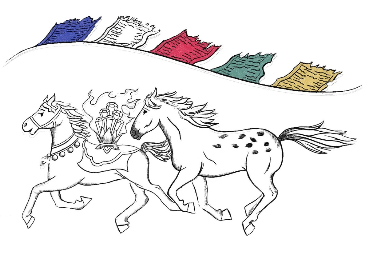 Wind Horses Collection