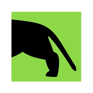 Windy City Dog Walkers