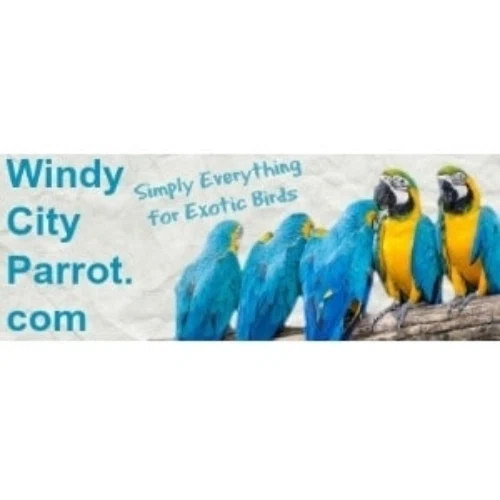 Windy City Parrot