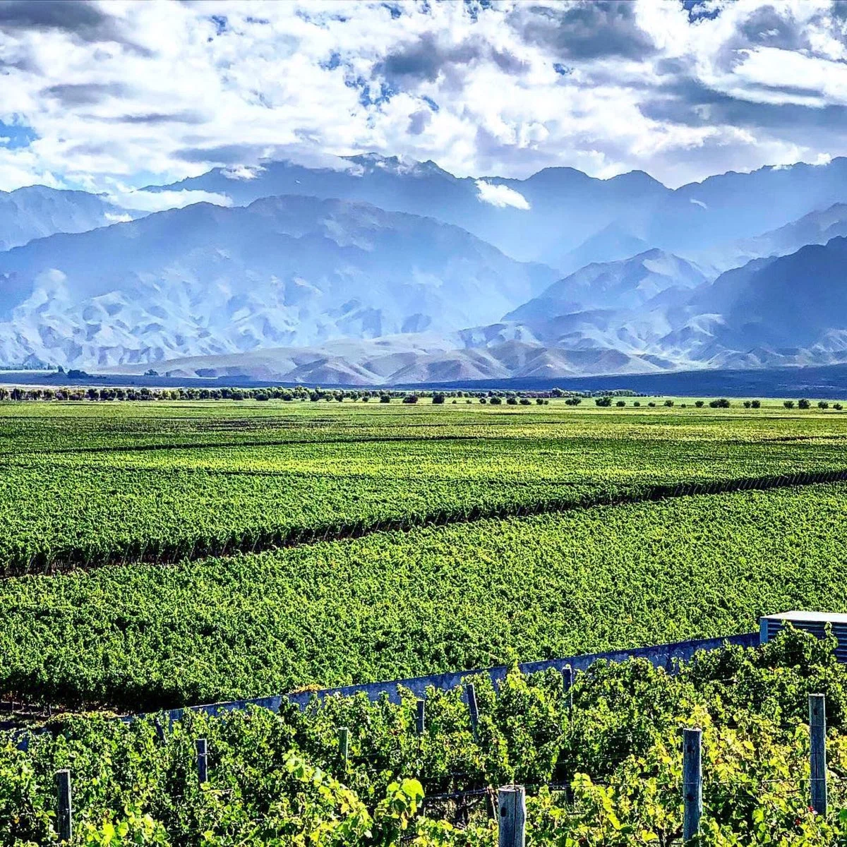 Wine Destinations