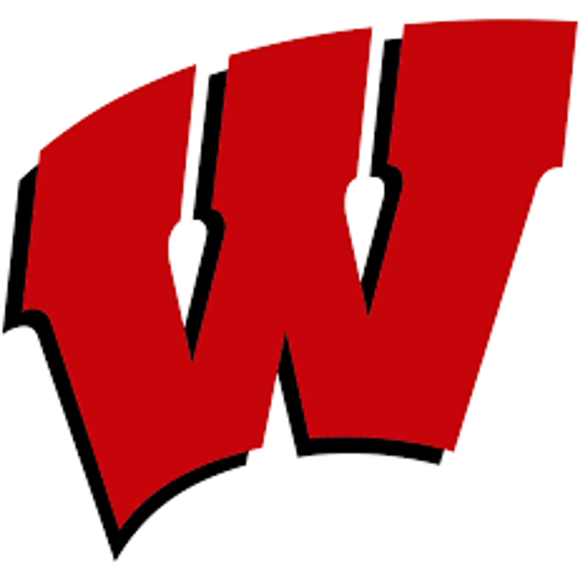 Wisconsin Badgers