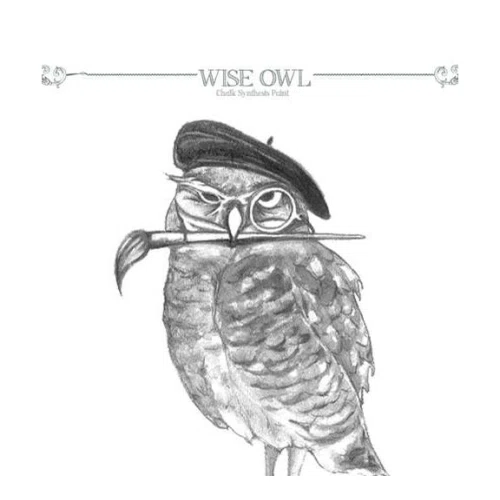 Wise Owl Paint