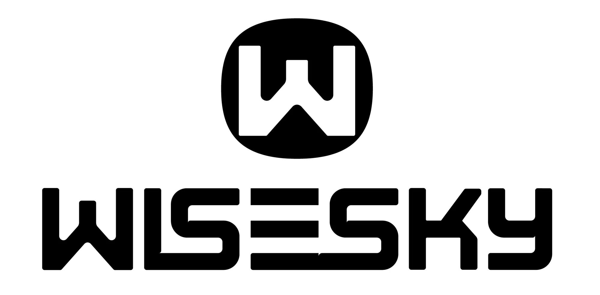 Wisesky