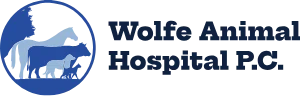 Wolfe Animal Hospital