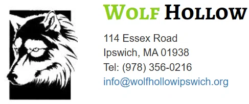 Wolf Hollow