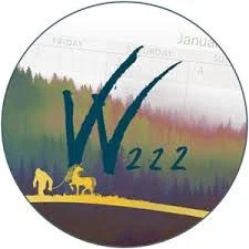 Wonderland 222