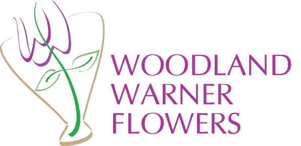 Woodland Warner Flowers