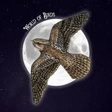 World of Birds