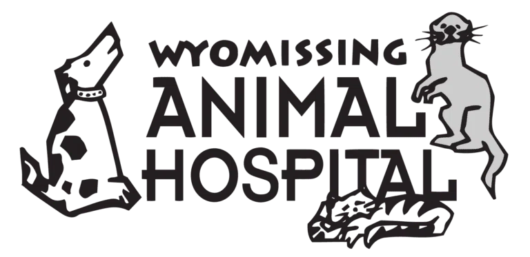 Wyomissing Animal Hospital