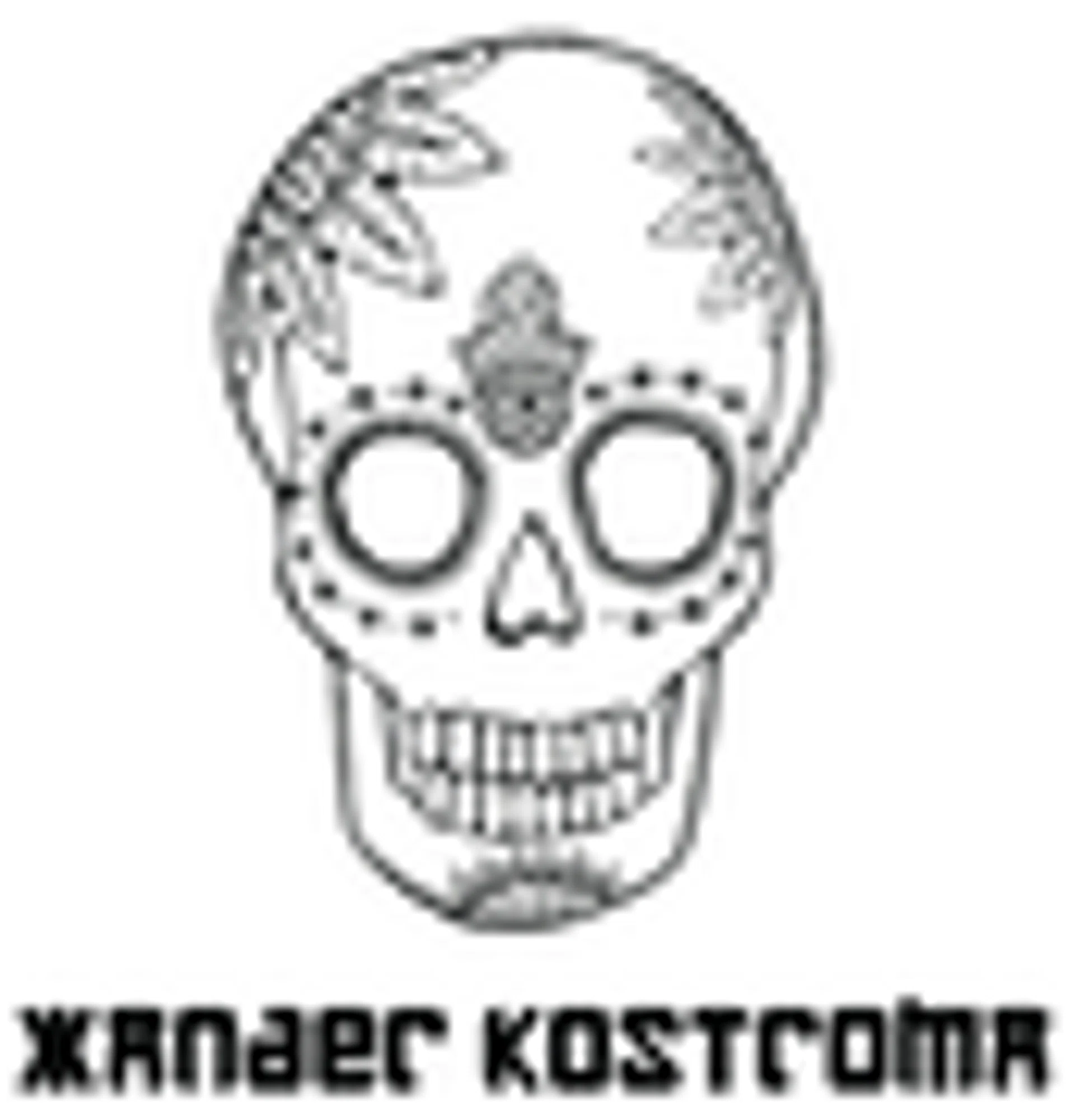 Xander Kostroma Promo Codes